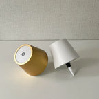 Wireless LED Wine Bottle Light